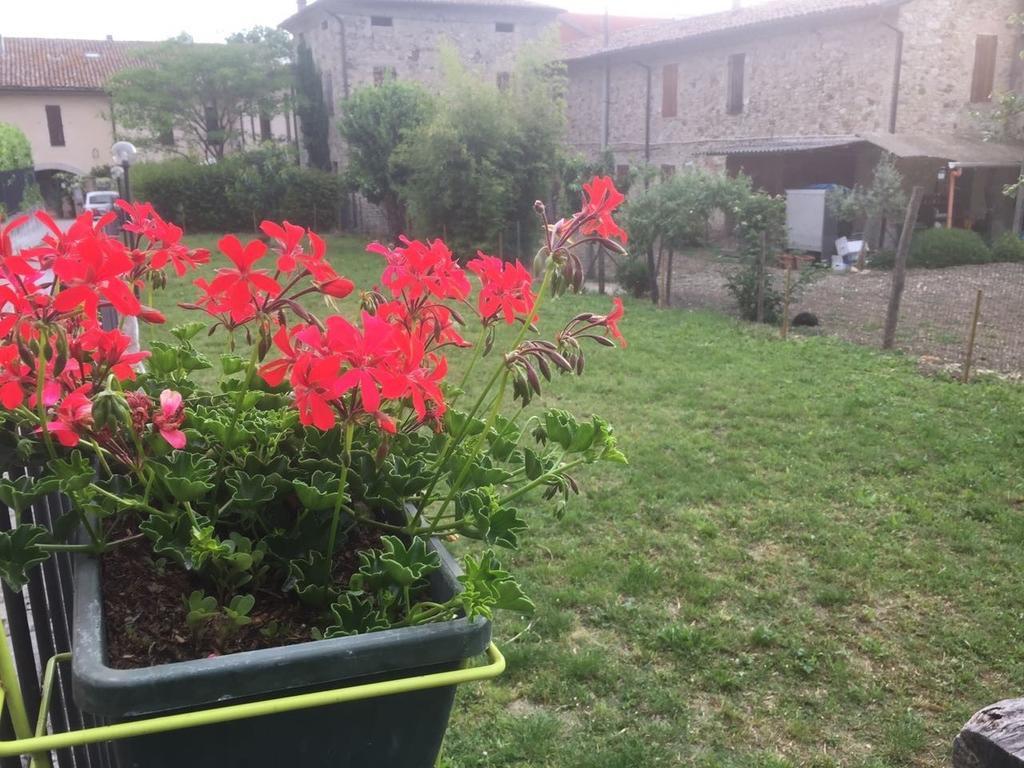 B&B San Giorgio Traversetolo Exterior photo